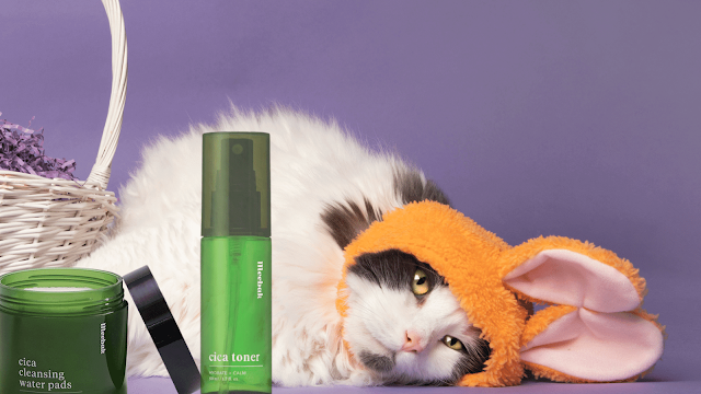 the best toner for your face, barbies beauty bits the best toner for your face, barbies beauty bits